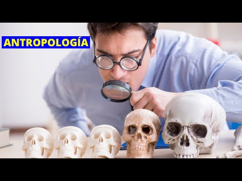 Vídeo: Per què és important estudiar l'antropologia?