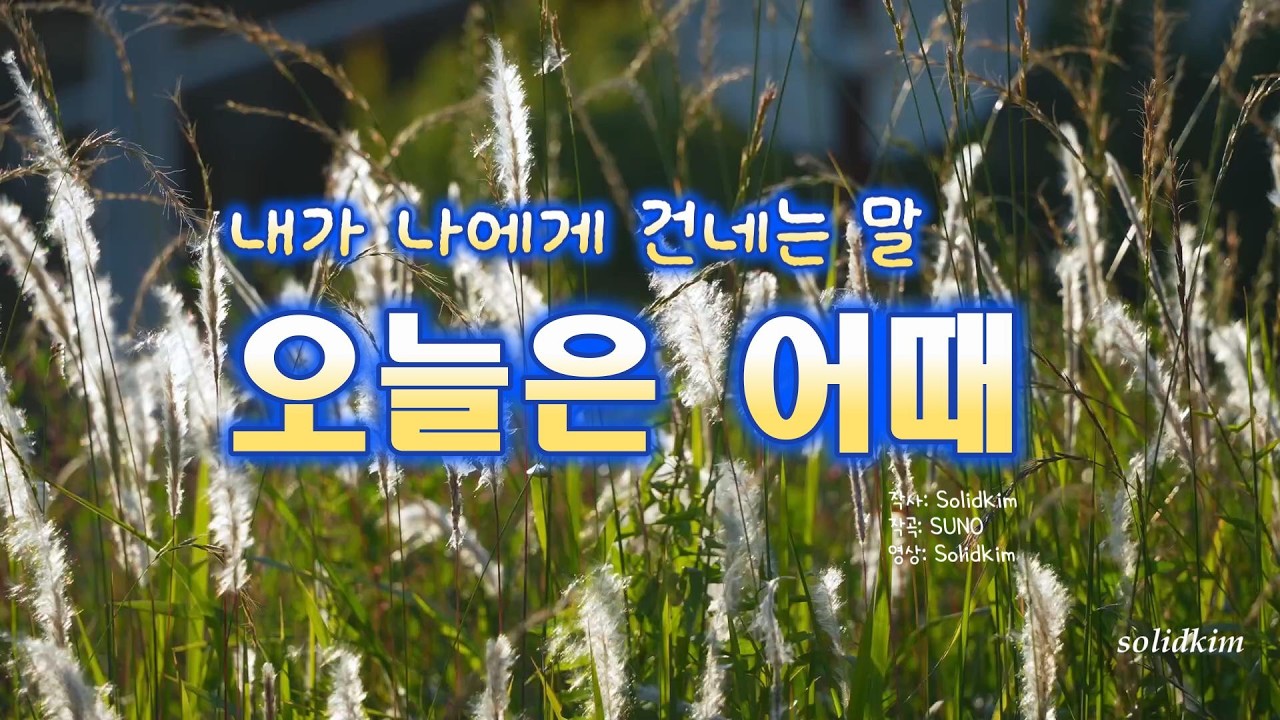 오늘은 어때 _ “내 마음에게 건네는 따뜻한 안부”