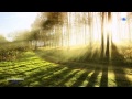 ✿ ♡ ✿ GIOVANNI MARRADI - Adagio in G Minor