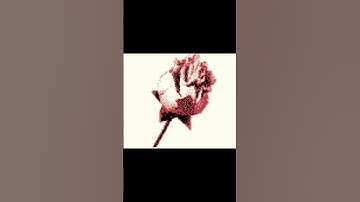 Samsung SCH-E135 (External Display) Startup and Shutdown Animation