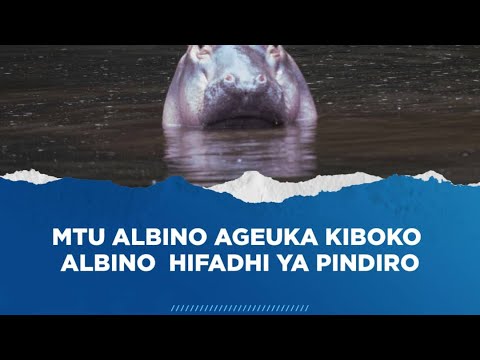 Video: Vivutio vya Watalii Kusini mwa U.S