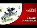 Рассказы о животных для детей  |  Е.И. Чарушин - Томка испугался🐶