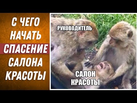 ДВИК | С чего начать спасение салона | Руководитель | Как открыть парикмахерскую