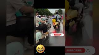 Funny and hilarious ANIMAL COMEDY moment part 966 videos