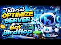 Tutorial Optimize Server Minecraft Pakai Bot Birdflop