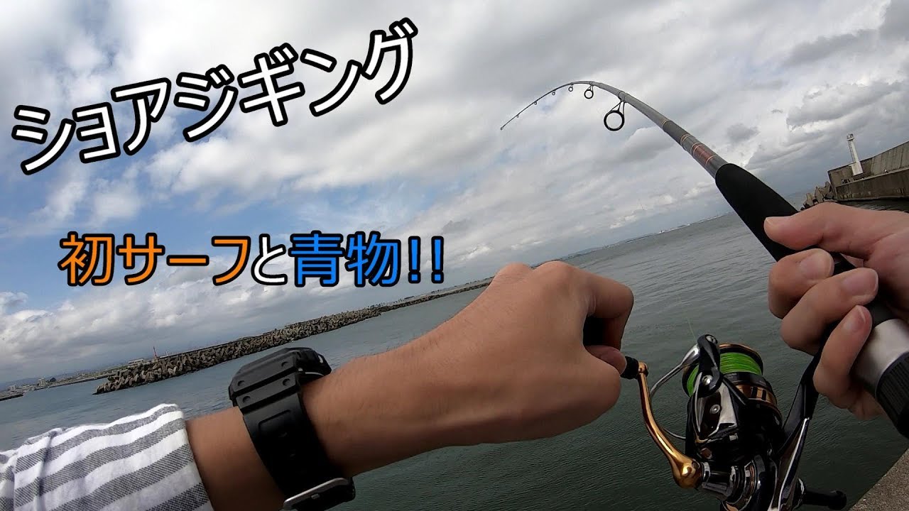 ショアジギング 初の仙台サーフと堤防にて秋の青物 Youtube