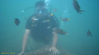 scuba diving in goa