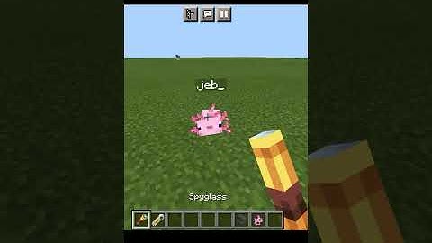axolotl jeb_
