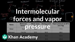 Intermolecular forces and vapor pressure
