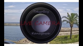 東京湾ライブカメラ神奈川 壱号機(北の空) のライブ映像