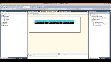 How To Create Default Values in SSRS-Video11
