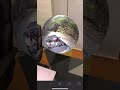 360º Video Example In Web AR 360º Video Example In Web AR