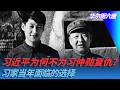 习近平为何不为习仲勋复仇？习家当年面临的选择｜华尔街六度
