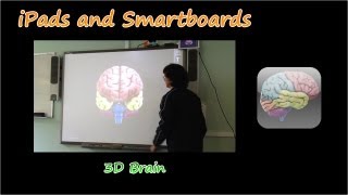 iPads and Smartboards - 3D Brain