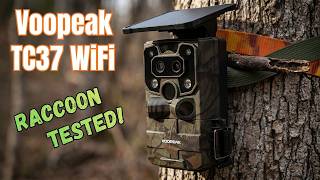 Voopeak TC37 WiFi Trail Camera Review: Unboxing, App Setup & Raccoon Test!