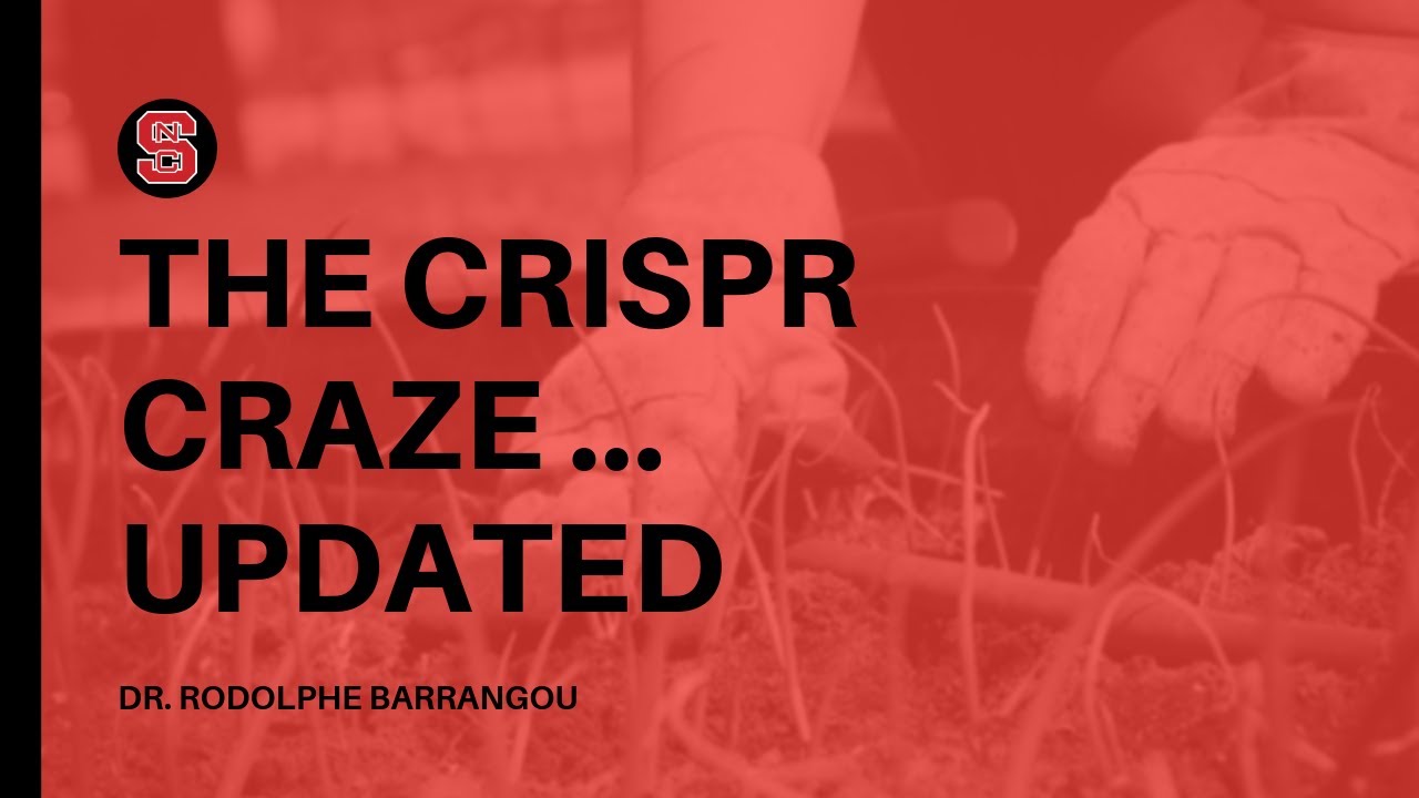 The CRISPR Craze: The Many Impacts of a Disruptive Technology (12/6/18)