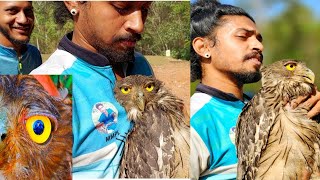 the bengal night killer / largest owl in india /giant indian wild owl🦉🦉rescue 🙄G J MOWGLI
