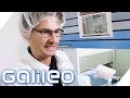 "Wo komme ich her?" Das verraten DNA-Tests über uns! | Galileo | ProSieben