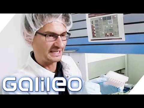 Video: Finden Sie Das Richtige DNA-Testkit Für Sie