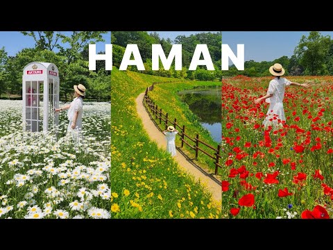 Korea’s Secret Spring Paradise : Haman in May (4K)