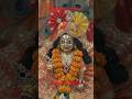 Jai shree kunjbihar