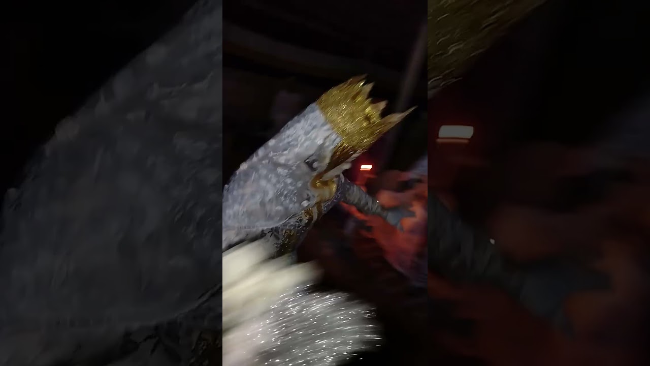 silayo colonel le feu le feu 🔥🔥 maman Flora 🌺🌺 est là ooh🥳🥳