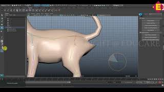 Cat Rigging Animation in Maya 2019.