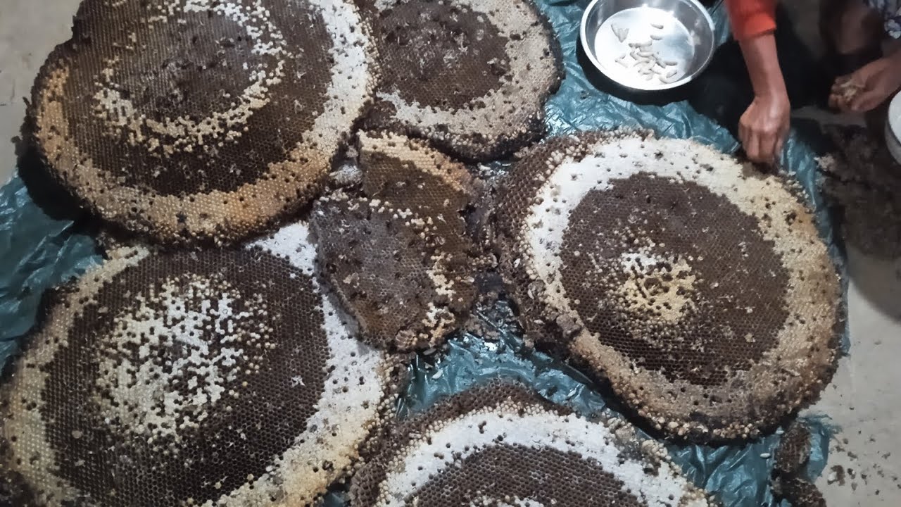  Khuaivanrial bu lian leh lak hautak em