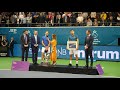 The winner of Intrum Stockholm Open 2019 Denis Shapovalov!