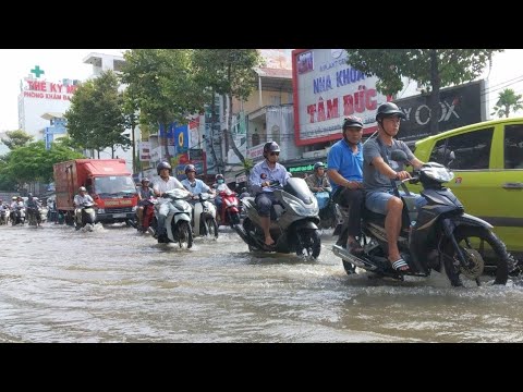 Video Triều cường gây ngập kỷ lục ở TP Cần Thơ - YouTube