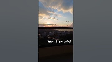 {آمن الرسول} اواخر سورة البقرة مع القارئ محمد الفقيه #سور_من_القران_الكريم