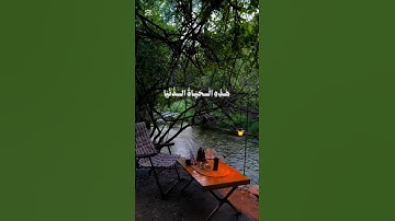 وَإنّ الآخِرَةَ هِيَ دارُ القَرارْ [سوره غافر] #اكسبلور #المصحف #دويتو #تيك_توك #الرحمن