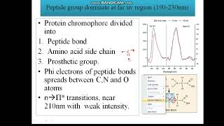Inspection of Protein in UV spectrometer (part1)