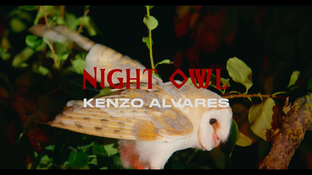 Watch Kenzo Alvares - NIGHT OWL (Official Music Video) on YouTube Watch Kenzo Alvares - NIGHT OWL (Official Music Video) on YouTube