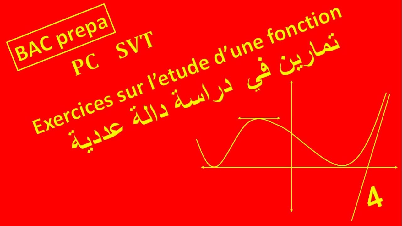 etude d'une fonction  exercices P4