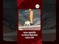 Taratala Incident । প্রাণের সন্ধানে রাতেও যুদ্ধকালীন তৎপরতায় চলছে উদ্ধারকাজ, আনা হলো স্নিফার ডগ