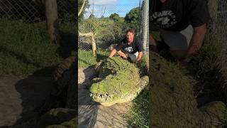 Dinosaurs are real!!!