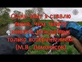 ДА ГДЕ-ЖЕ ТЫ, ЛОБАСТЫЙ | МУТНАЯ РЕКА | ЗИМНЯЯ ВЕСНА 2020