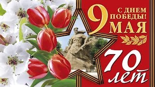 Павлово-Посадский район отпраздновал юбилей Победы грандиозными торжествами