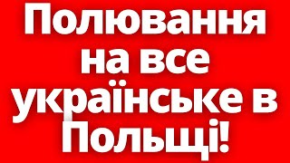 Де Порядок?! Розпочалось Полювання На Все Українське В Польщі!