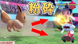 イーブイで環境最強ポケモンを粉砕 ポケモン剣盾 Youtube