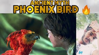 Phoenix Bird | Tamil | Scienty Sundar | 369 screenshot 5
