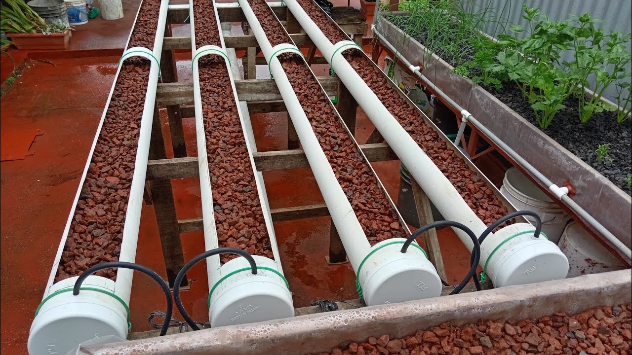 como construir un sistema hidroponico en sustrato con tubería de 4 pulgadas