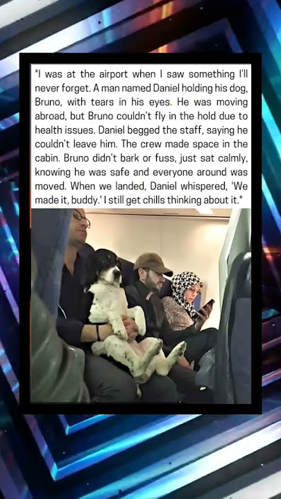 Dog allowed through flight without permission makes his owner happy 😁 - YouTube