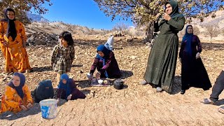 Collecting acorns with Fariba