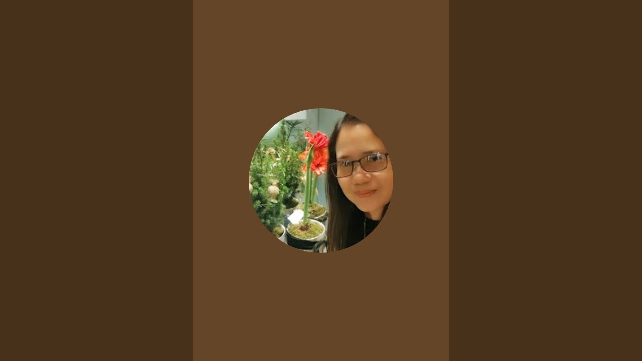 SophiaMixChannel is live!Candy Crush Game #satisfying/Update Live