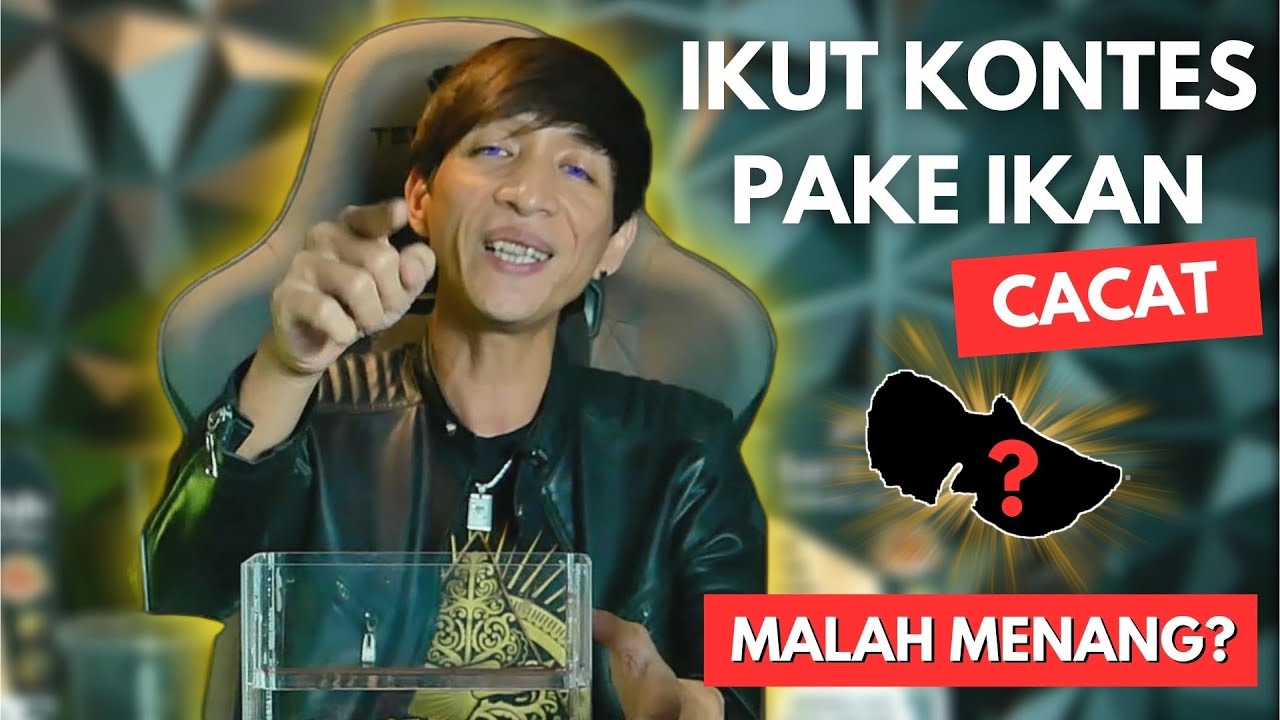 REVIEW GUPPY JUARA KELAS SHORT BODY