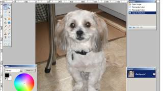 How To Create Your Own Avatar From Any Image screenshot 5