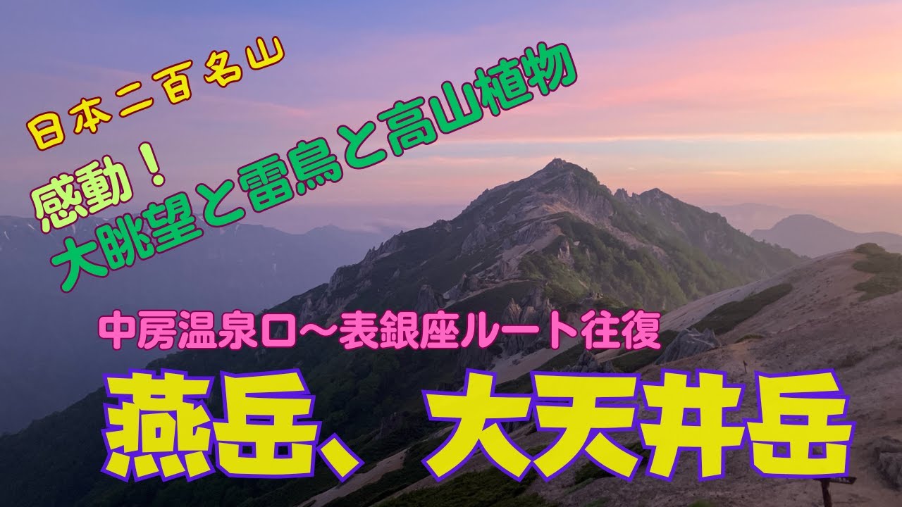 表銀座、燕岳～大天井岳　雷鳥と高山植物に癒され絶景を楽しめました！