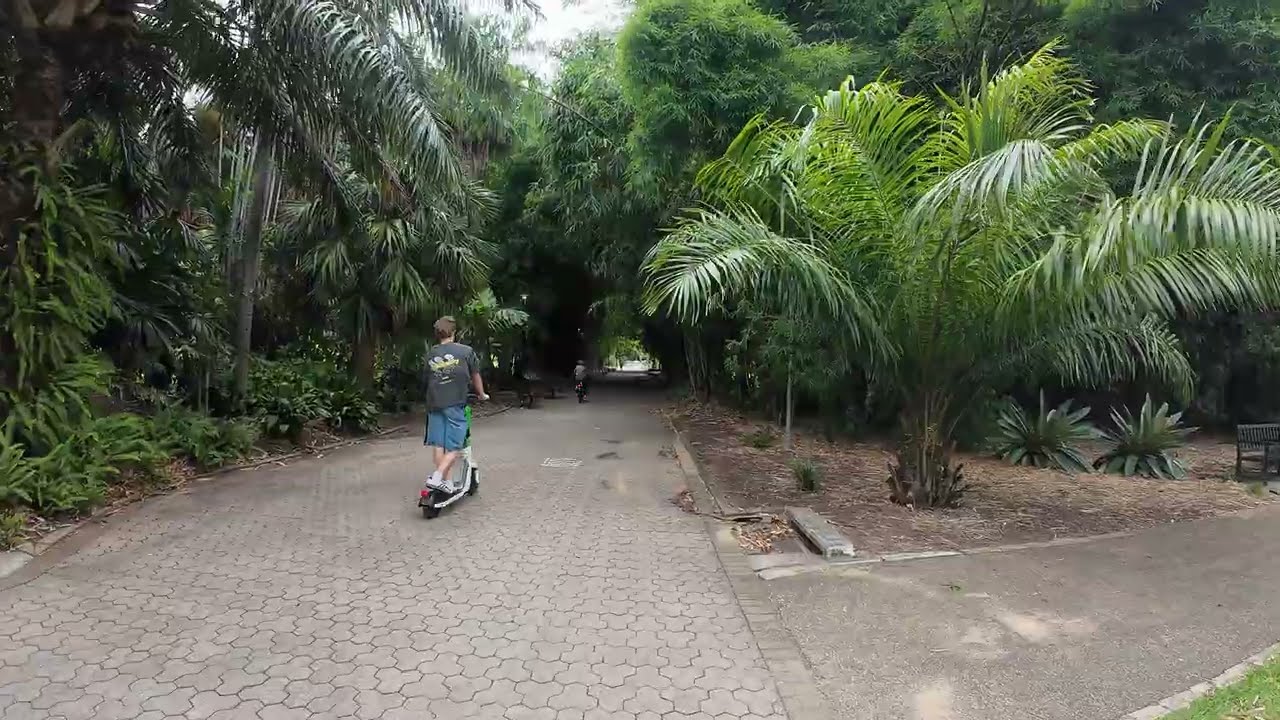 Quick walk through the Brisbane Botanical Gardens